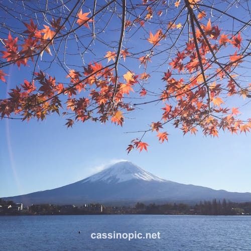 Avatar de Fernanda K.